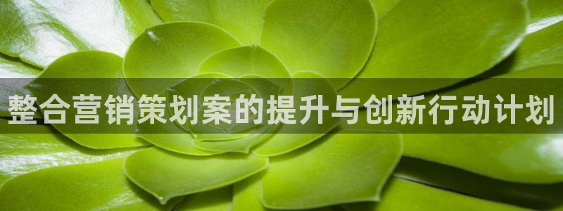 必赢国际官网登录