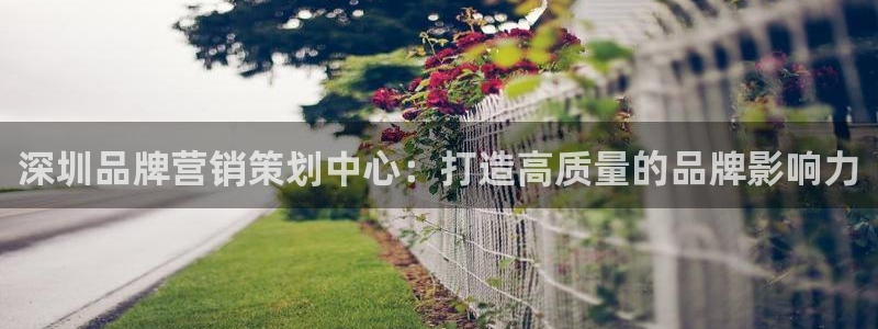 必赢这个软件怎么样啊