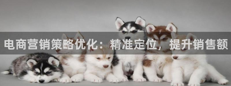 必赢官网下载安装app