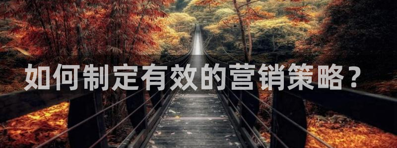 必赢线上网址查询