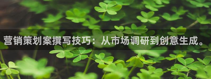 必赢国际437官方介绍