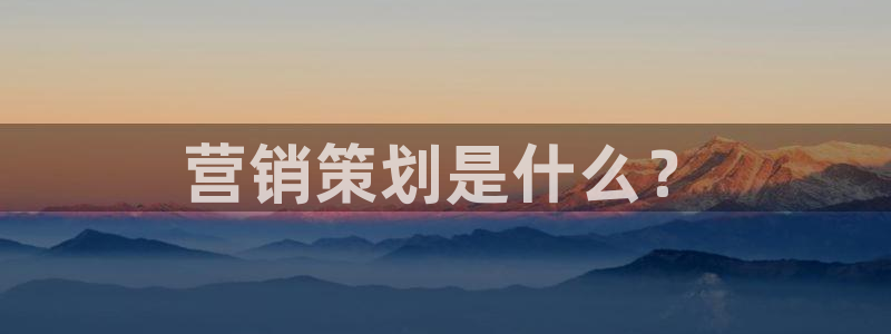 必赢公司是怎样的一家企业