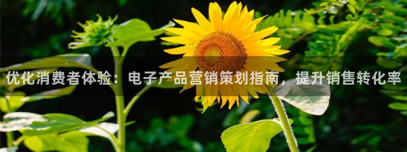 必赢手机app下载安装官网