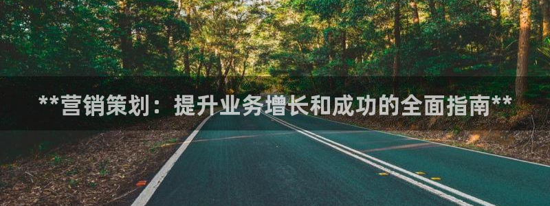 必赢网站