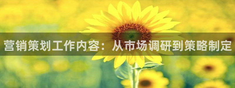 必赢国际怎么样