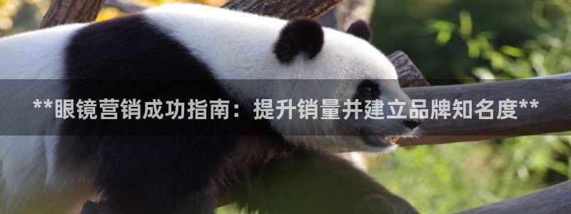 必赢集团网站首页