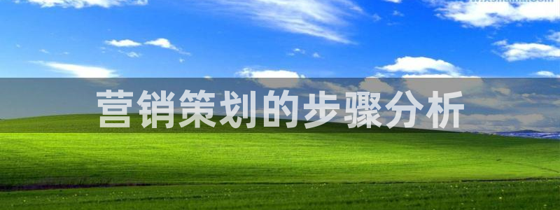 必赢是真的吗