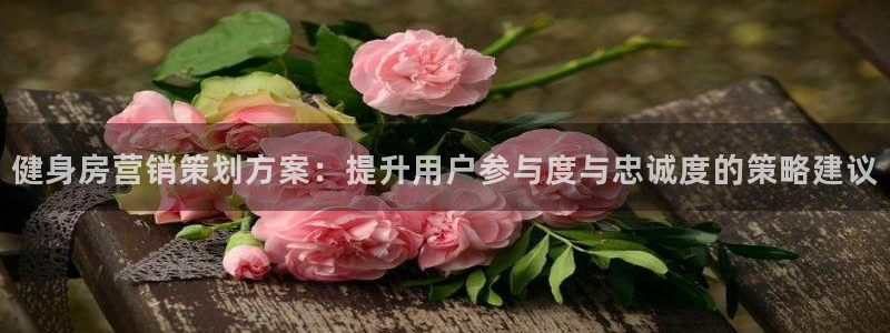 必赢官网入口下载app