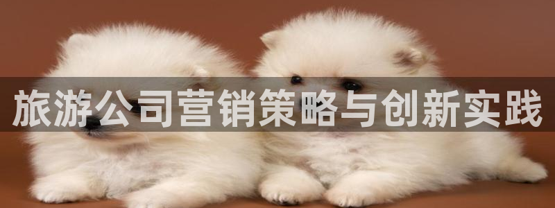 必赢国际437app下载