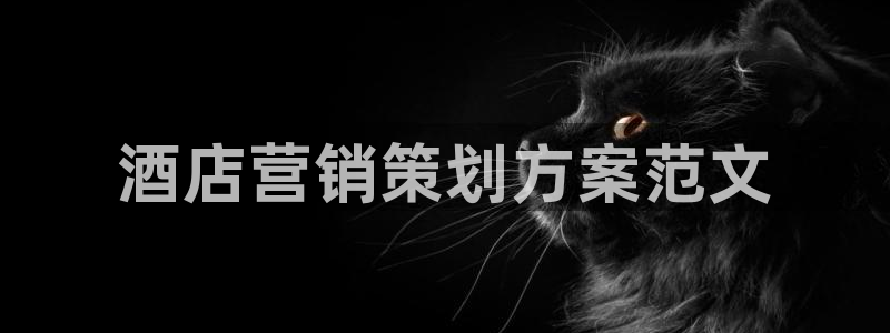 必赢437官网