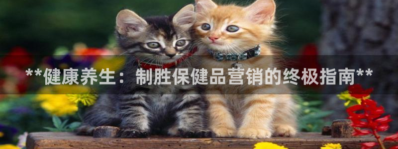 必赢3003手机网页版