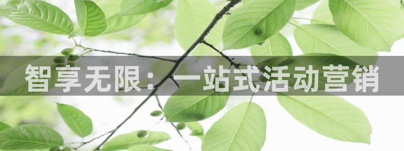 必赢平台官方