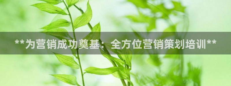必赢是真的吗