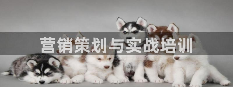 必赢手机app下载 最新版本