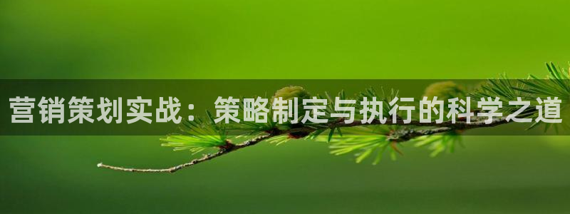 必赢官网app下载安装最新版本