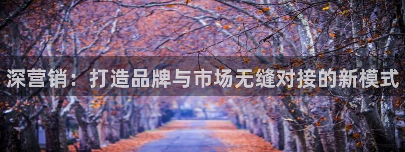 必赢国际网站合法吗