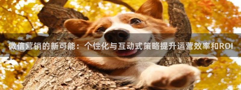 必赢官网app下载安装手机版最新版
