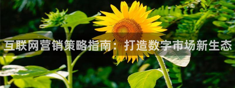 必赢网络游戏平台