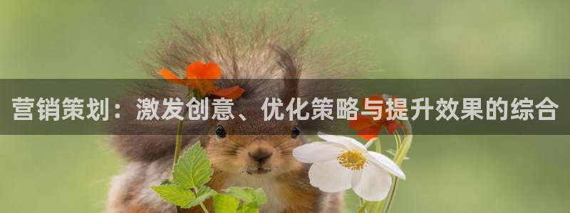 必赢平台官方客服电话