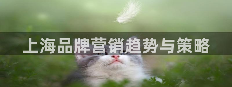 必赢手机app下载 最新版