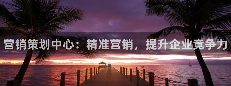 必赢平台网站多少