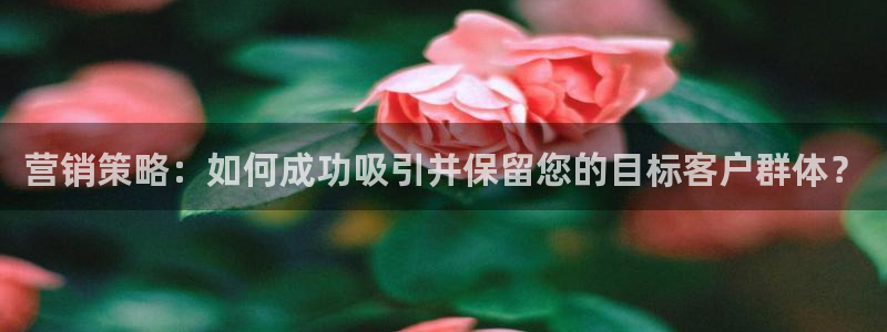 必赢官网入口下载安装苹果