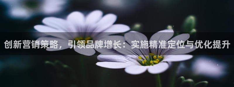 必赢网怎么打不开了呀