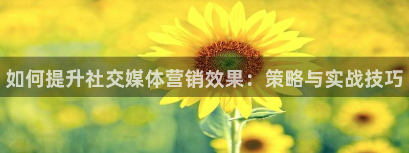 必赢集团网站改成多少