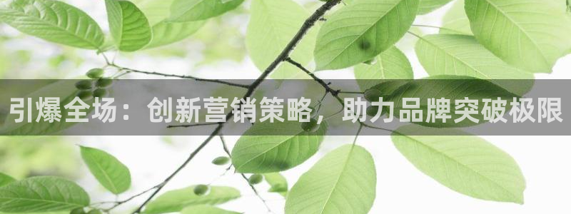 必赢亚赢网站官网下载安卓手机