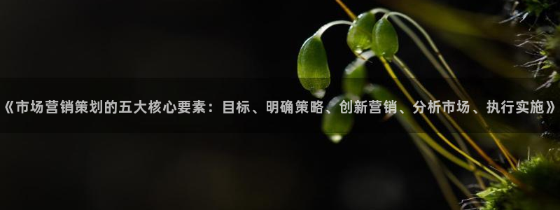 必赢app客户端下载