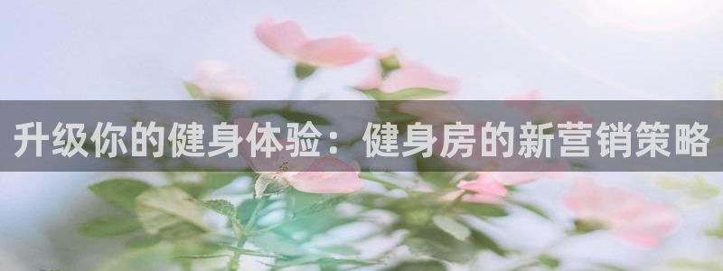 必赢网址手机主页在哪