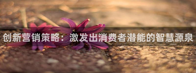 必赢下载软件