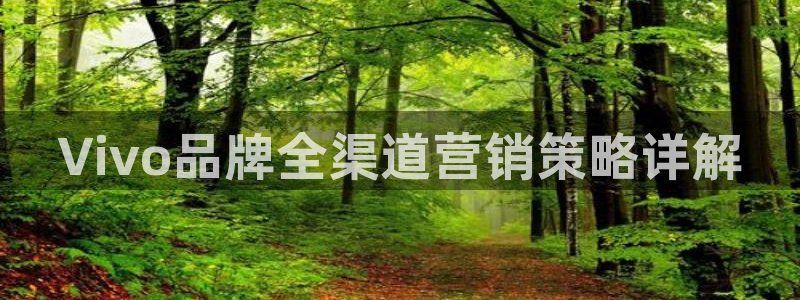 必赢网怎么打不开了呀