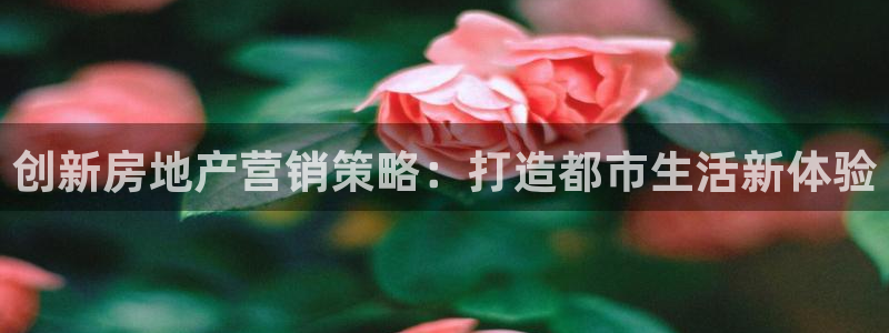 必赢官网网站首页入口