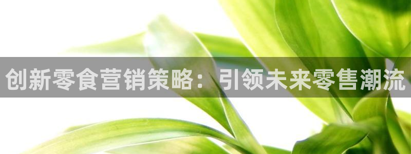 必赢亚赢网站官网下载安卓
