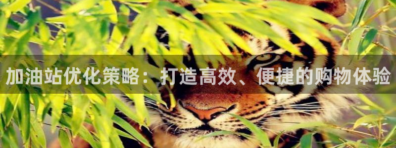 必赢最新消息