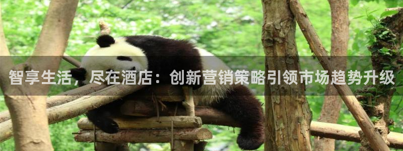 必赢手机版网站多少：智享生活，
