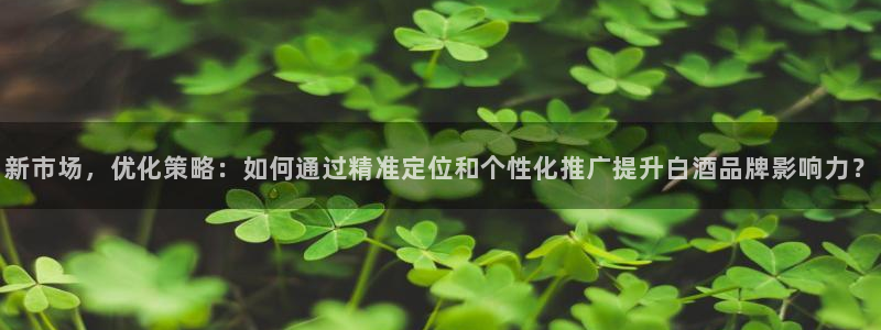 必赢网站是哪一个：新市场，优化