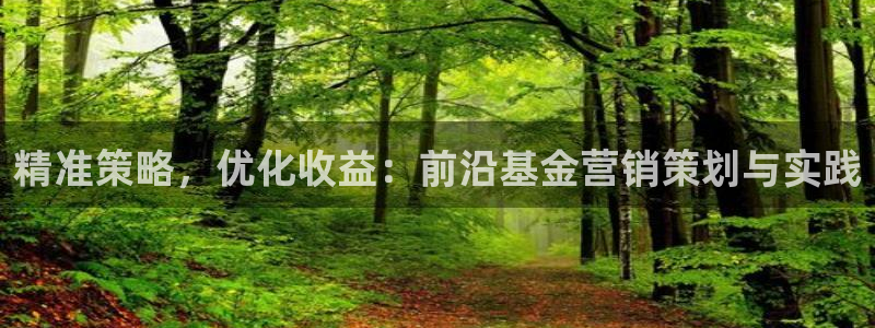 必赢72886是黑网站么：精准