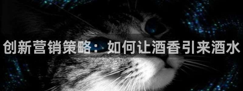 必赢科技北京有限公司：创新营销