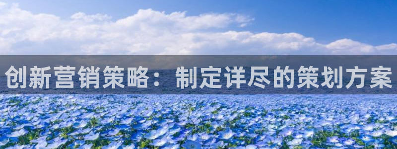 必赢用户登录：创新营销策略：制