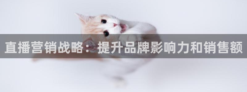 必赢国际app最新官网