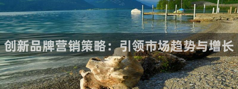 必赢官网app下载安装最新版本