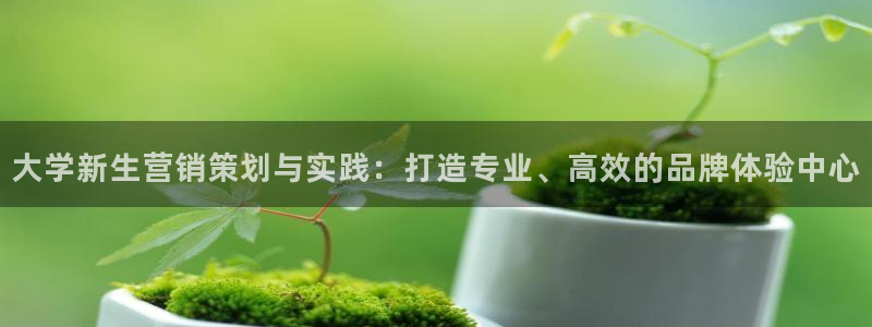 必赢科技北京有限公司