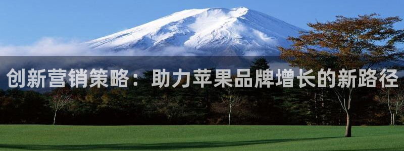 必赢手机app下载安装官网