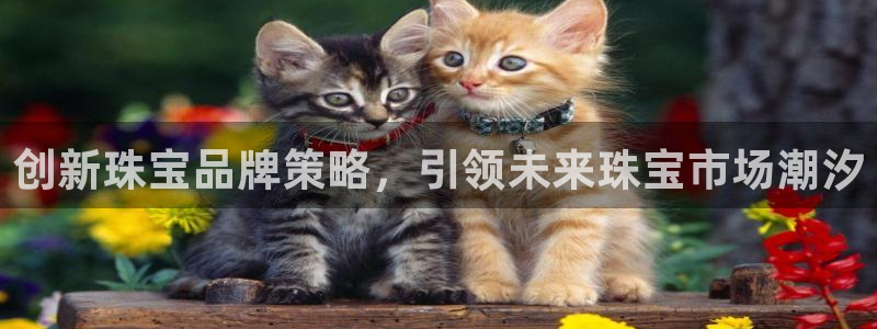 必赢app客户端下载