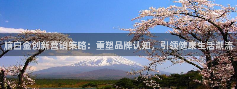 必赢亚赢网站官网下载安装