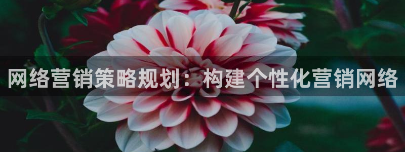 必赢平台怎么样