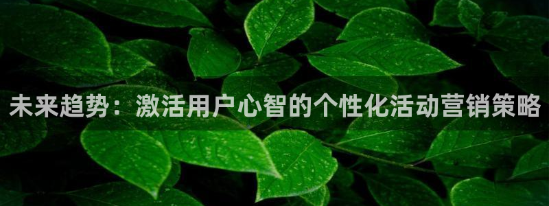 必赢官网网址多少号登录入口