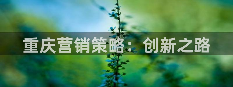 必赢官网网址8873